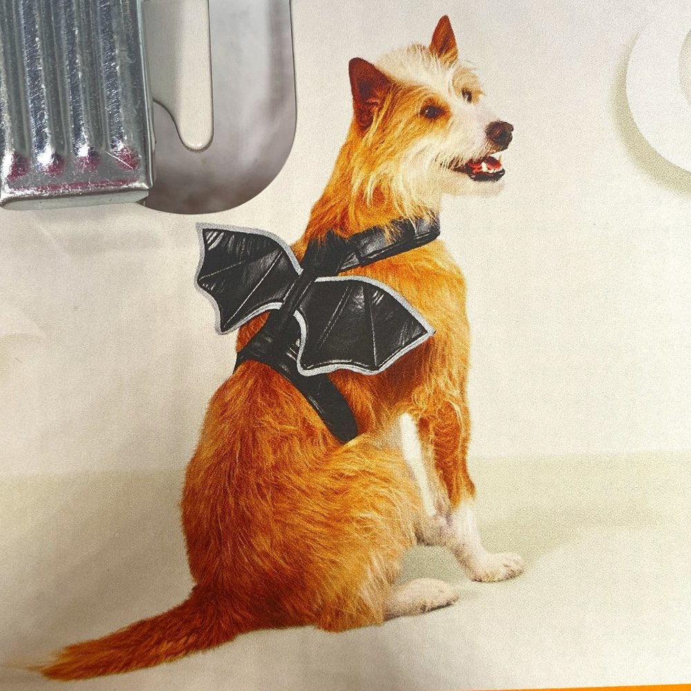 HYDE and EEK Boutique NWT S/M pet reflective bat wings in black.